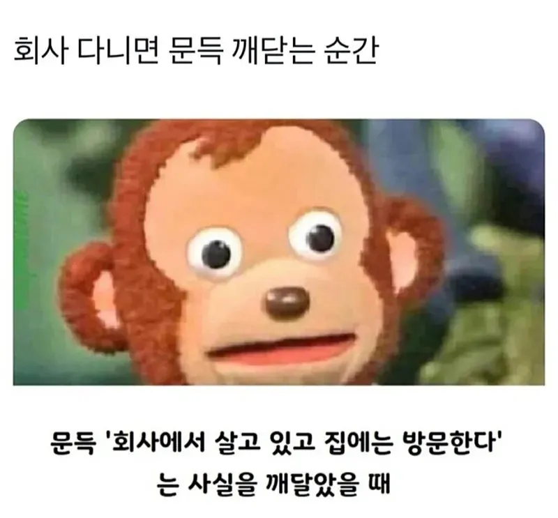 adfccfc519c9c341e04de17dbc659e9f_1785102358_2514.png