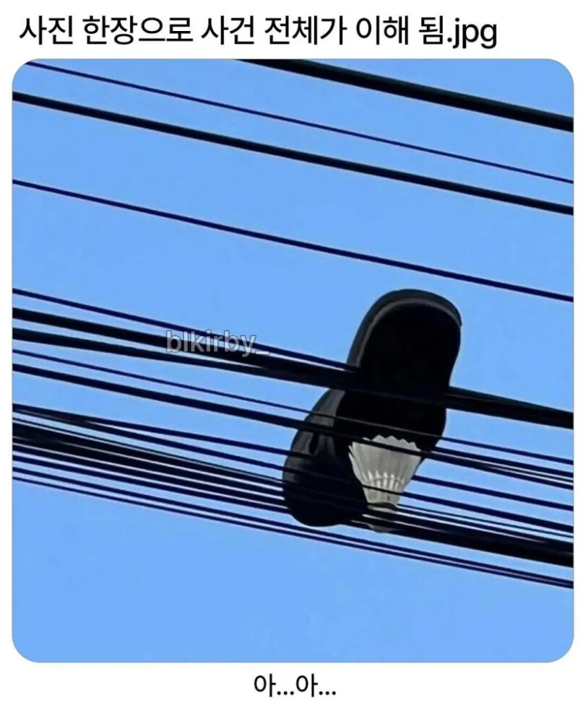 3e013abd555379708bcb273b357927b5_1788104179_8866.png