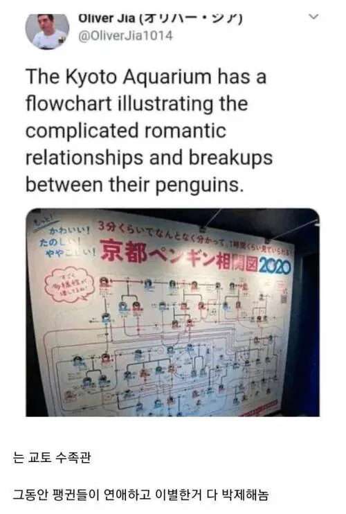 09d5d2ae366f1ecdd4cf2ca1857a600d_1789332791_3357.png