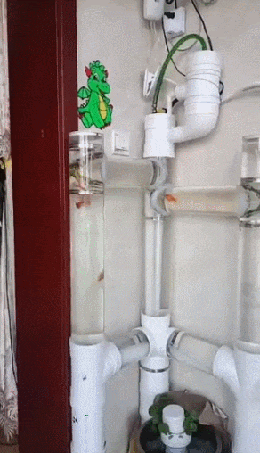 0d39b09513f67cfb1be5f4cb4d498b09_1789254060_0641.gif