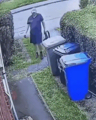 e954abfafb47c8aea6623a6a0f96ad89_1789588903_5158.gif