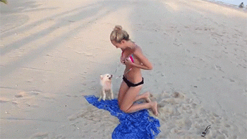 fd0f647bc38f061fdee68ea7383e64b4_1788736985_5381.gif