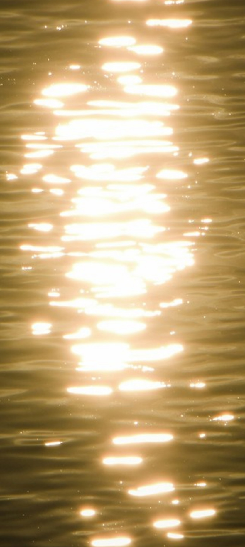 128010feac8535cf47386d8e1d0fe5b8_1789422216_079.jpg
