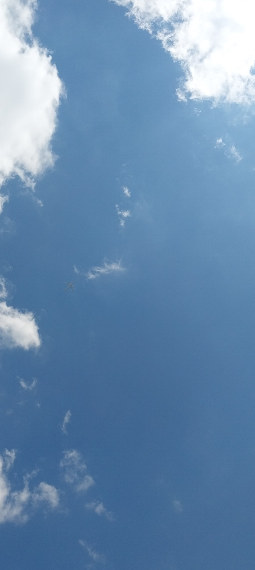 3808ab17aa7e95491ea6488bcc49f98c_1789069576_1393.jpg