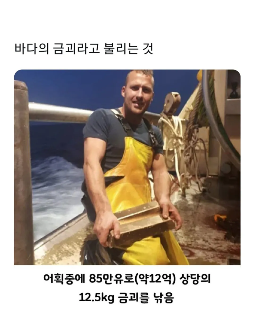 580f7cee1af55e2c861f74ceaf92d0df_1789421949_2255.png