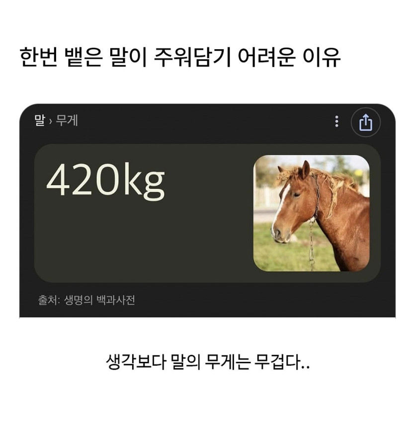 7d4872a67ae98e984a3ff660a6a26370_1788622004_7764.jpg