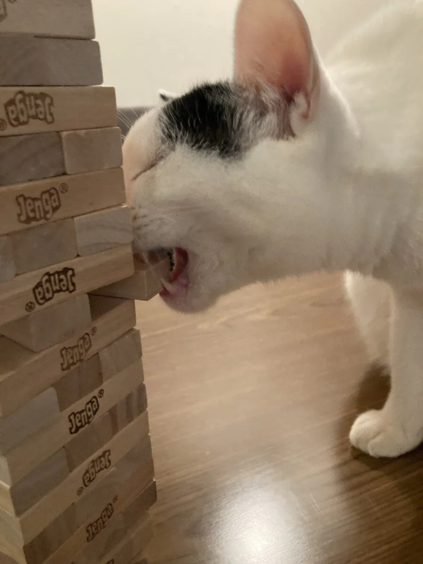 8e7c6c66c766dbffbea1a1963bb7211f_1789688354_9209.png