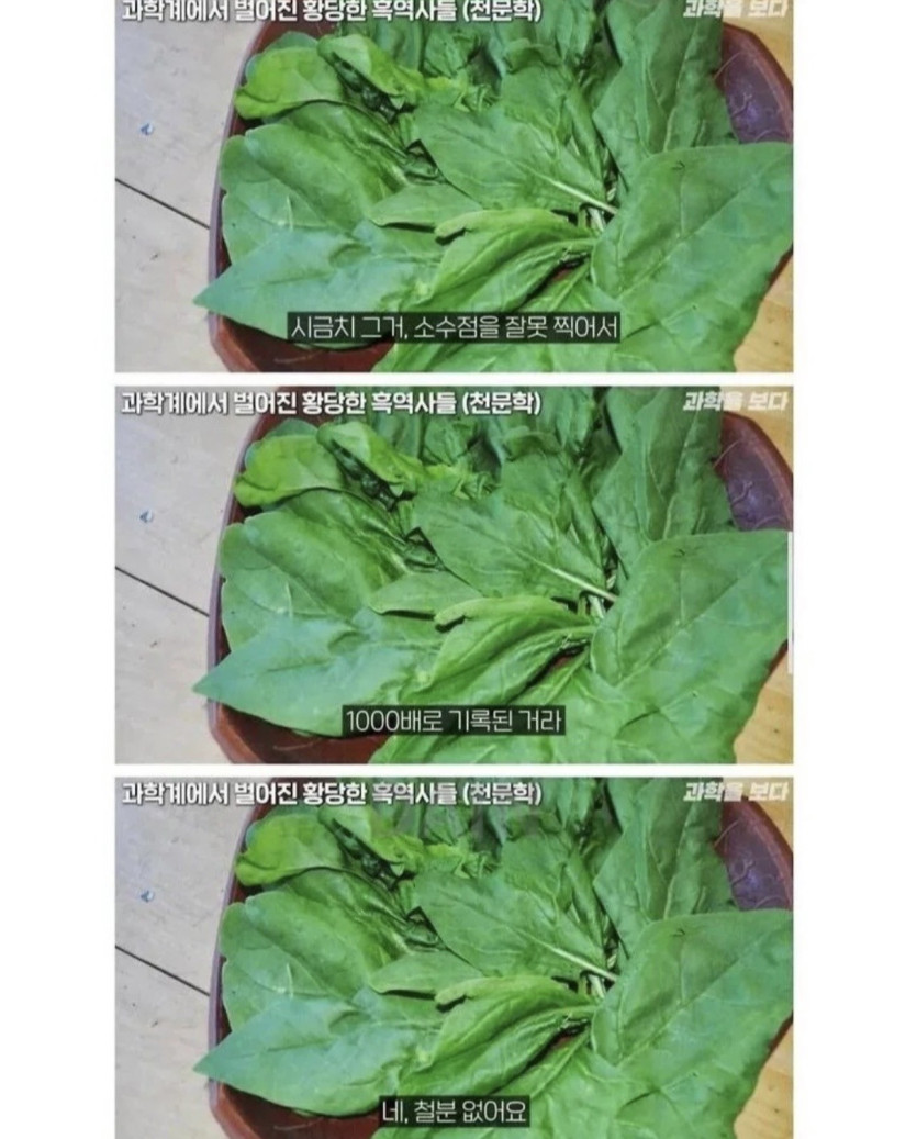 a3ca56f174844120ca8603a7adb1eca8_1789680643_5608.jpeg